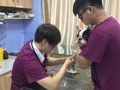 -瑞鹏宠物医院·宠保定点·心脏科·内科(御桥分院)