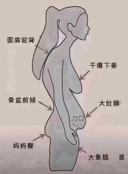 点击看大图 -昕孕瑜伽·孕妇瑜伽·产后修复