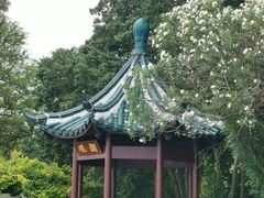 -瀛洲公园