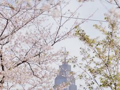 -西北湖绿化广场