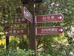 -习家池