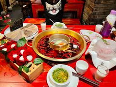 精品鲜毛肚-小龙翻大江文化火锅(宽窄店)
