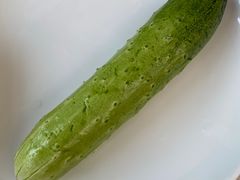 -食家鸽园