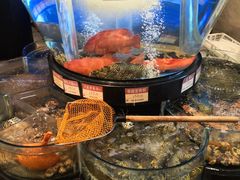-陶陶居海鲜酒家(新马路店)