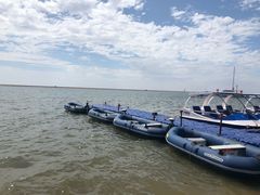 -碧海金沙