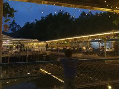-芭厘农庄老字号·清远鸡