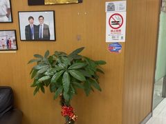 -雅悦齿科(顾村公园店)