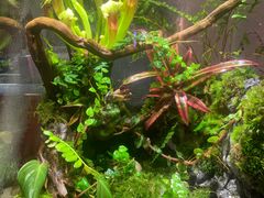 -Rabbit Cafe私房西餐甜点咖啡(栖霞路店)