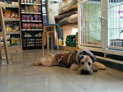 -我爱吾宠宠物美容院(朝阳路店)