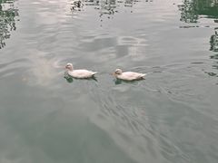 -仙店农庄(湖景农庄餐厅)