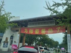 -汇龙潭