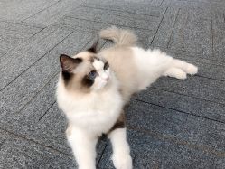 -元一肌肤管理中心