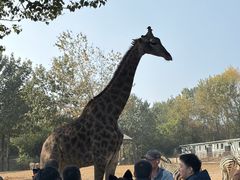 -大连森林动物园