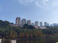 -重庆彩云湖湿地公园