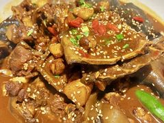 -甲鱼张甲鱼铺子(观沙岭店)