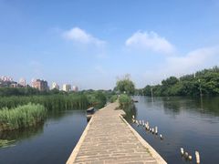 -前关湿地公园