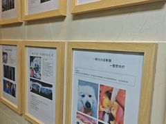 -半岛宠物医院24小时·内窥镜·牙科·碎石中心(府城大道店)