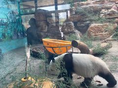 -石家庄市动物园