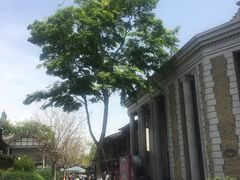 -安仁古镇
