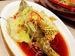-瑞膳首尔参鸡汤(龙塔店)
