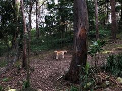 -可伦宾野生动物保护区