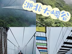 -阿露佳·舌尖上的安吉菜