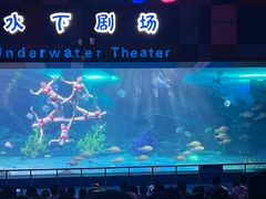 -泉城欧乐堡海洋极地世界