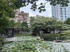 -四海公园(南山区)