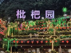 -枇杷园食为鲜火锅(南山店)