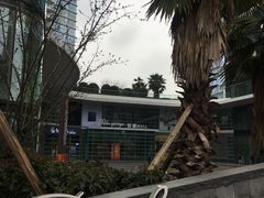 -棕榈MALL