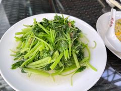 清炒豆苗-鼎泰丰(国贸商城店)