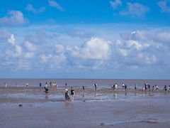 -南汇嘴观海公园