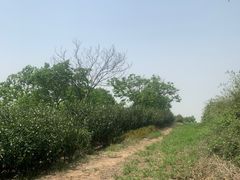-东山风景区(洞庭东山)