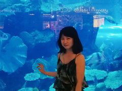 -迪拜水族馆及水下动物园
