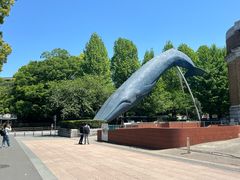 -东京国立博物馆