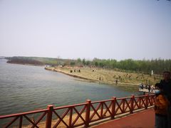 -丁香湖公园