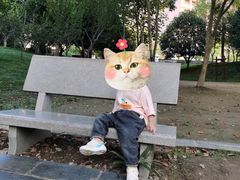 -堤角公园