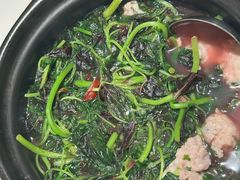 -侨美·唐荔园·40年地道粤菜