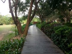 -大屏嶂森林公园