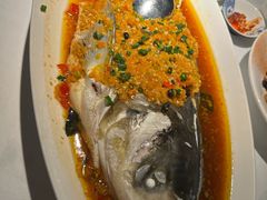 -凤凰湘语(浦东旗舰店)