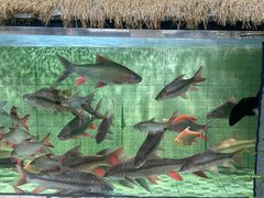 -傣泐金湾餐厅