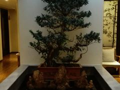 -紫藤炉茶膳(兴庆府大院店)