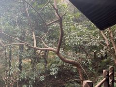 -黄公望隐居地
