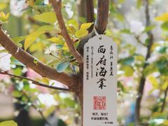 -元大都城垣遗址公园
