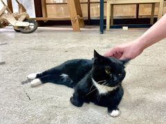 -观澜湖手艺工场·陶艺·吹玻璃·拼豆