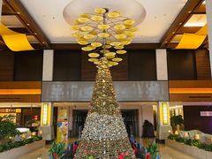 -张家港金凤凰度假村温泉