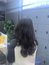 点击看大图 -藤野造型