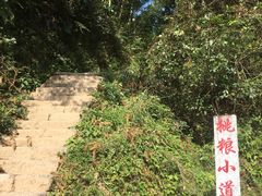 -井冈山风景名胜区-黄洋界