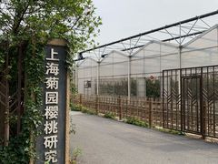 -菊园百果园