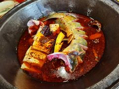 -鸽子刘铁锅炖鱼(劲松店)